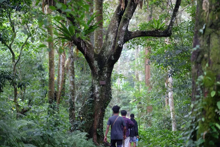 Air Terjun Jeruk Manis 6