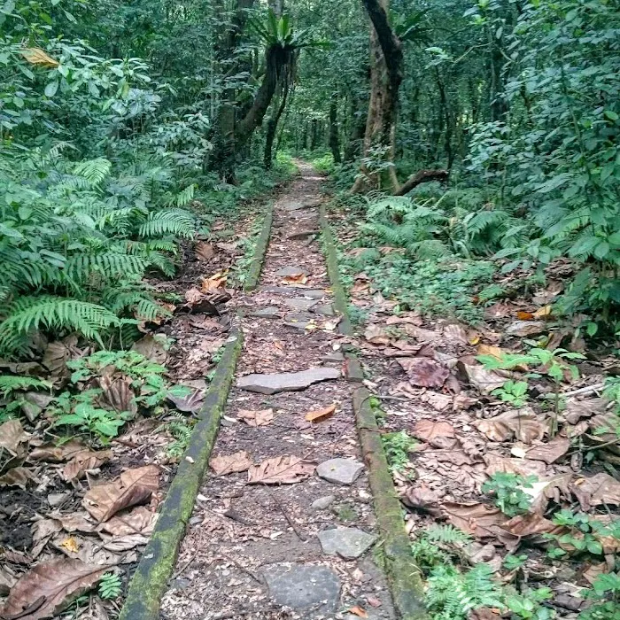 Air Terjun Jeruk Manis 5