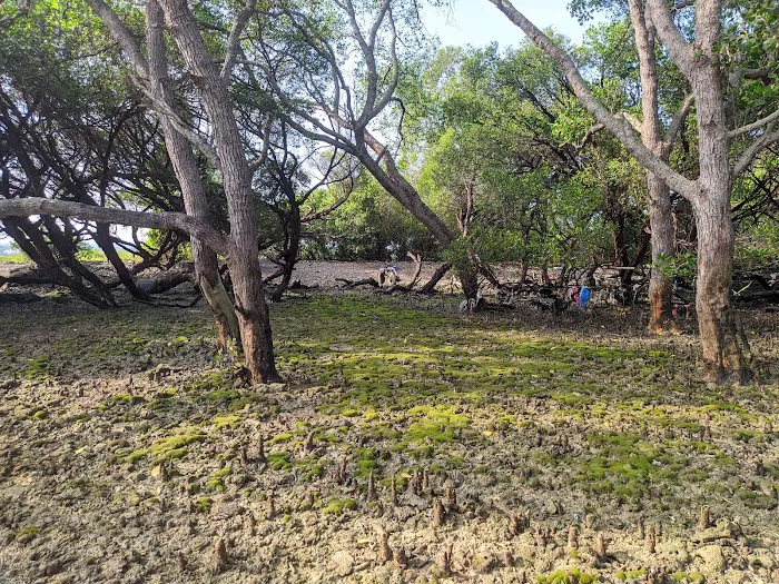 Pantai Wak Go Sop 2