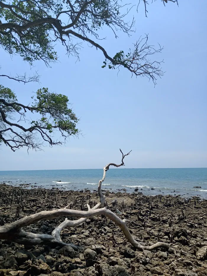 Pantai Wak Go Sop 3