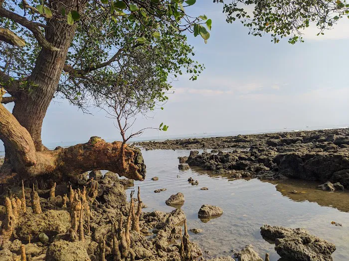 Pantai Wak Go Sop 5