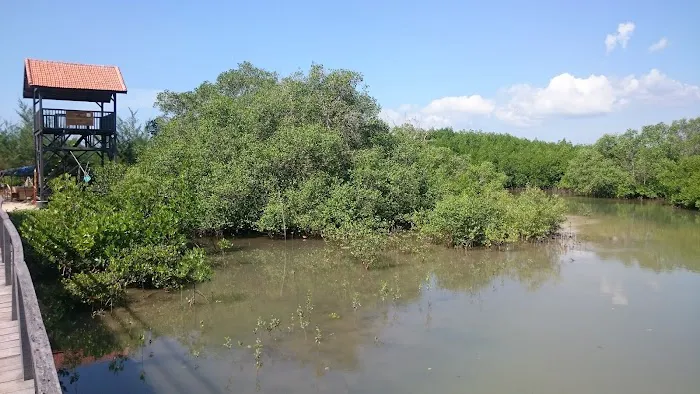 Labuhan Mangrove Education Park 2