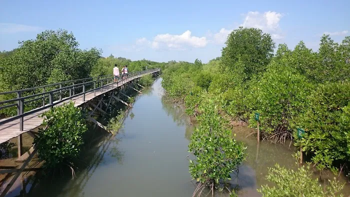 Labuhan Mangrove Education Park 1