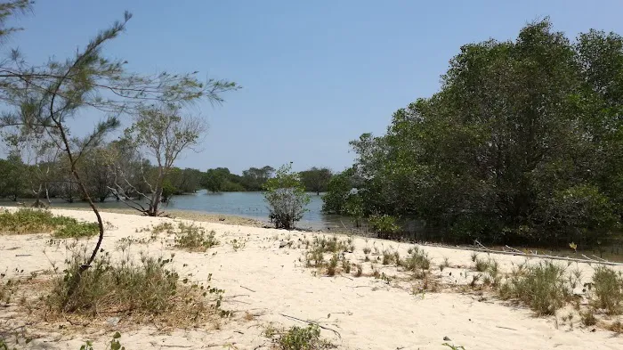 Labuhan Mangrove Education Park 4
