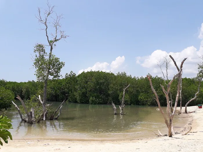 Labuhan Mangrove Education Park 5