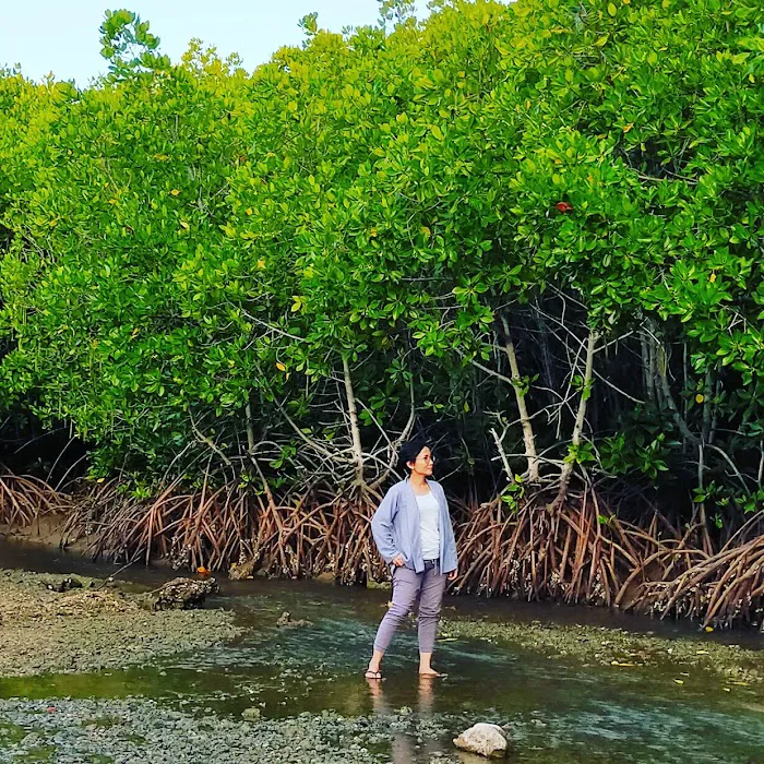 Labuhan Mangrove Education Park 8