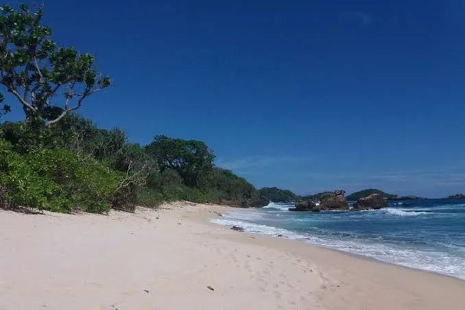 Tanjung Selok ꦠꦚ꧀ꦗꦸꦁꦱꦺꦭꦺꦴꦏ꧀ 4