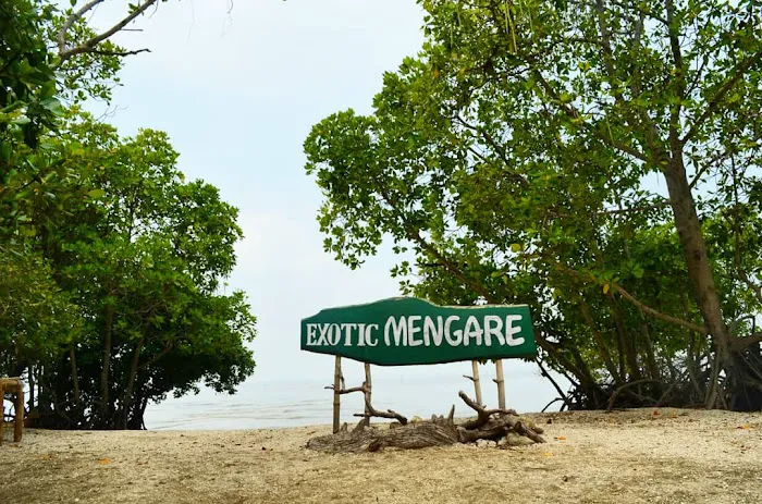 Exotic Mengare 2