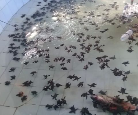Wahana Rekreasi Kondang Anyar