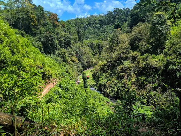 Air Terjun Telunjuk Raung 3