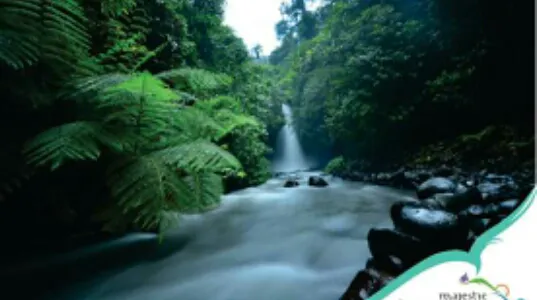 Air Terjun Telunjuk Raung 2