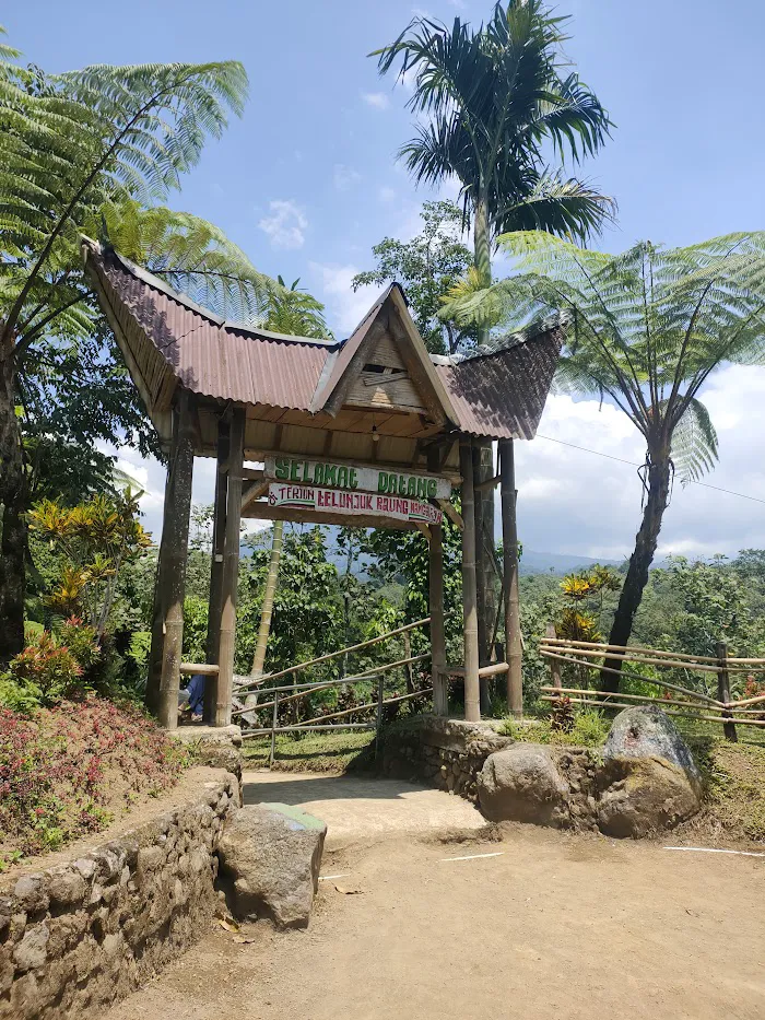 Air Terjun Telunjuk Raung 9