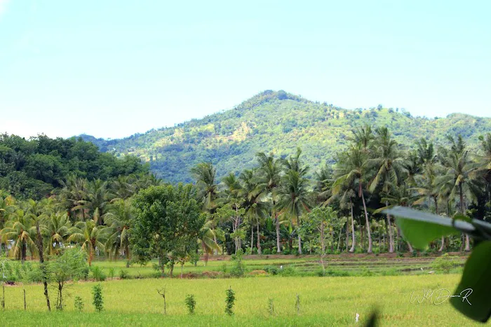 Rest Area Buwun Mas View 2