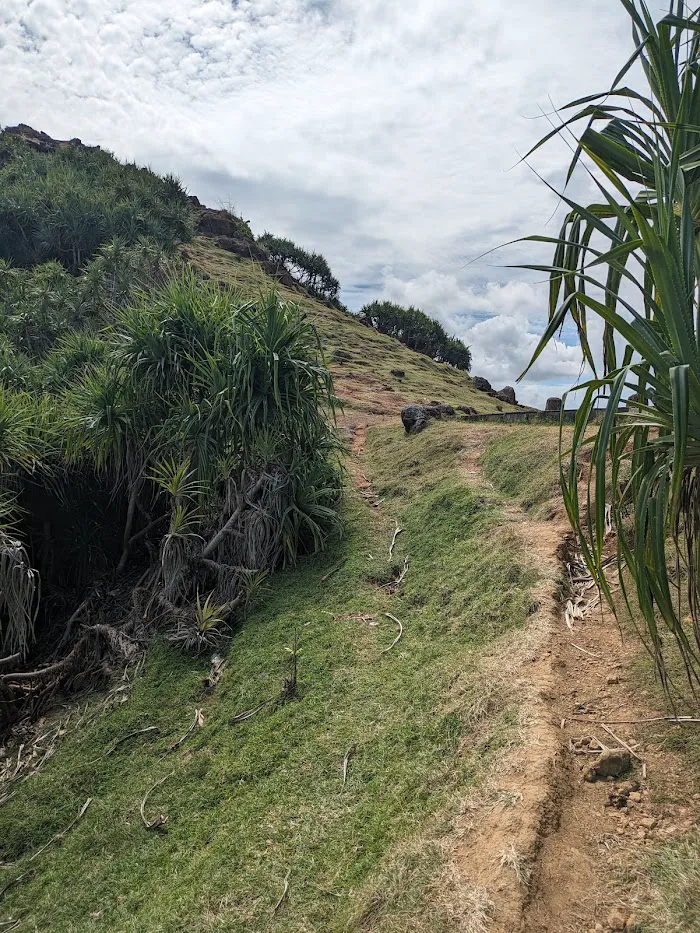 Bukit Kalice 8