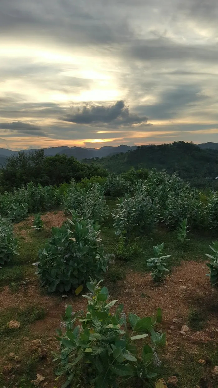 Prabu Hills Sunset Point 8