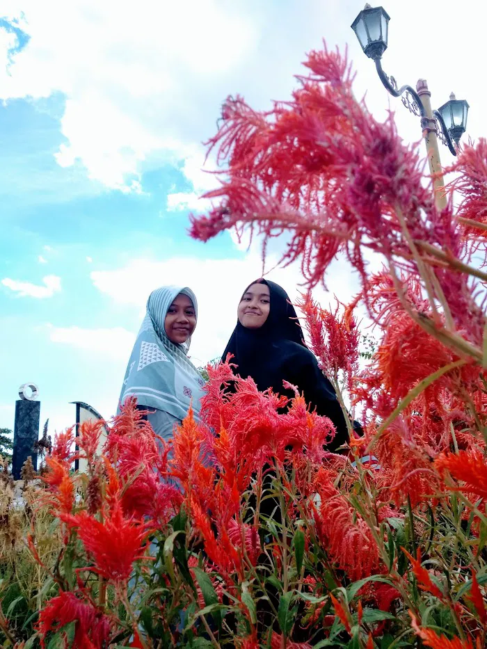Tonjeng beru Smart Garden 6