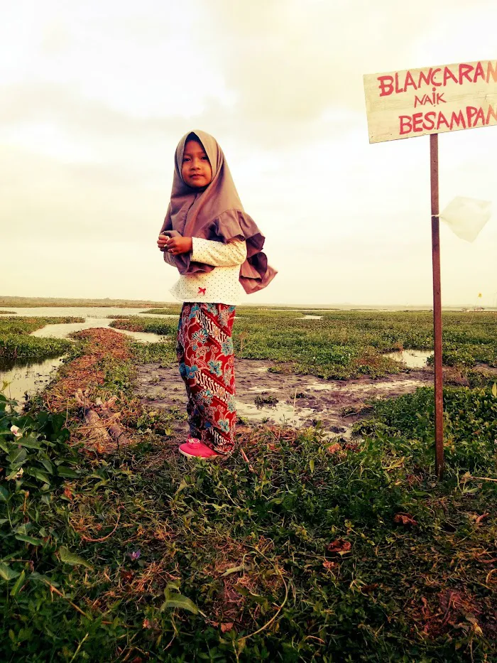 Tonjeng beru Smart Garden 7