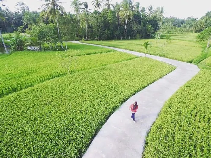 Desa Wisata Nostalgia Bonjeruk 3