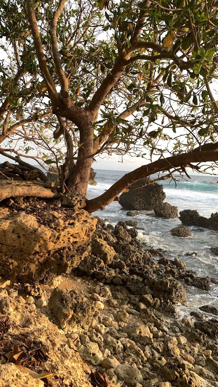 Pantai Geger Sapi 9