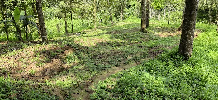 Watu Delean Camp and Playground 3