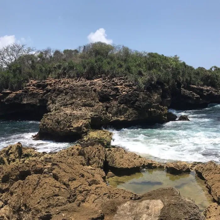Segoro alas rockfishing 6