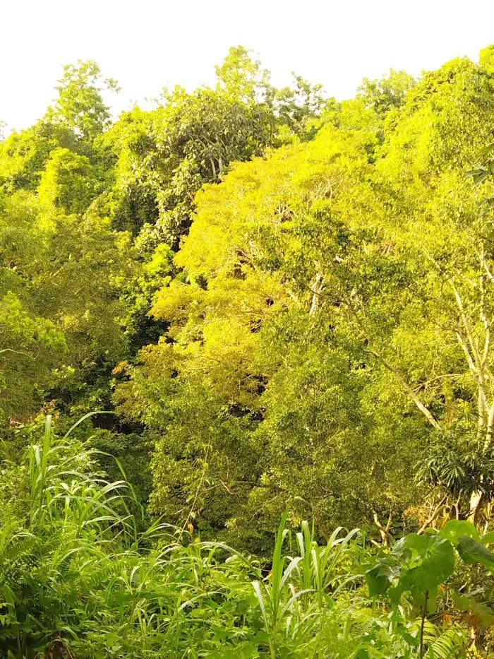 TAMAN WISATA BORNONG 0