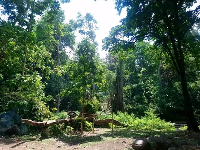 wusata Loanggali rebanbela 7