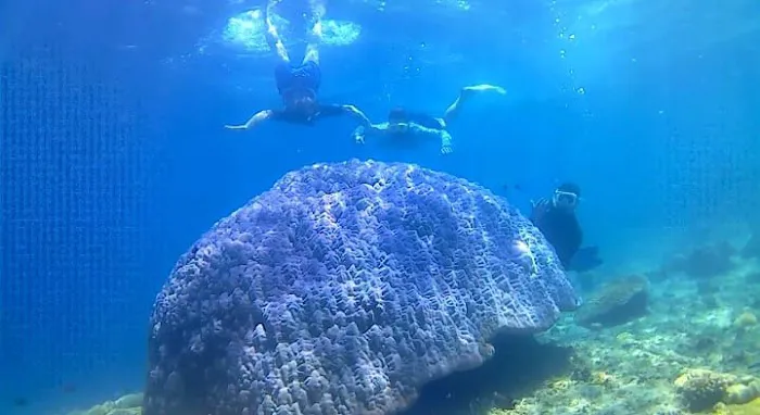 Gili Goleng 0