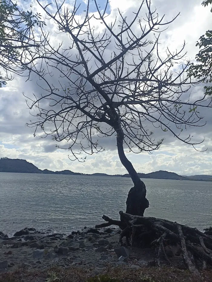 Pantai Kores 8