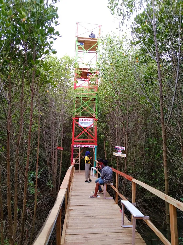 Ekowisata Mangrove Tanjung Batu 2