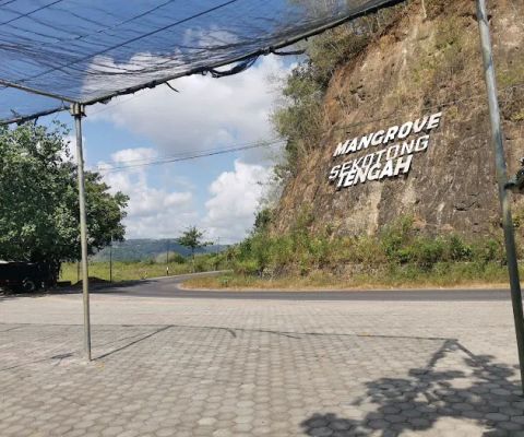 Mangrove Sekotong Tengah