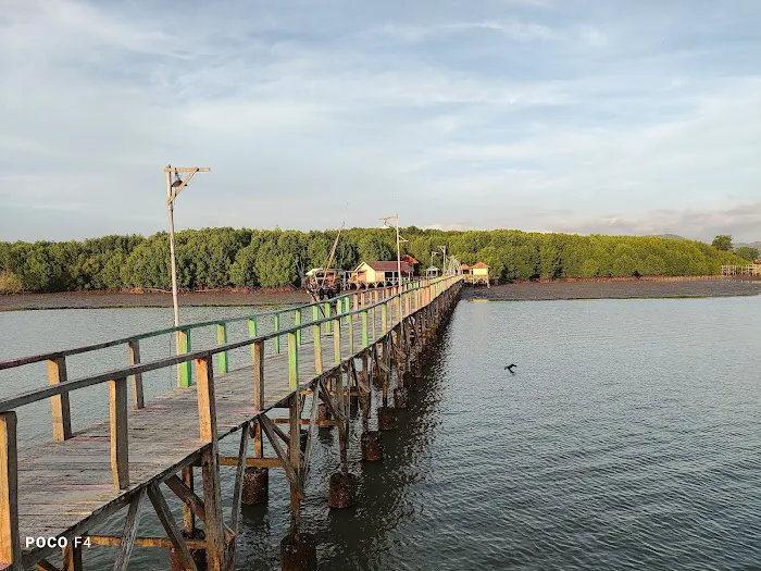 Mangrove Sekotong Tengah 2