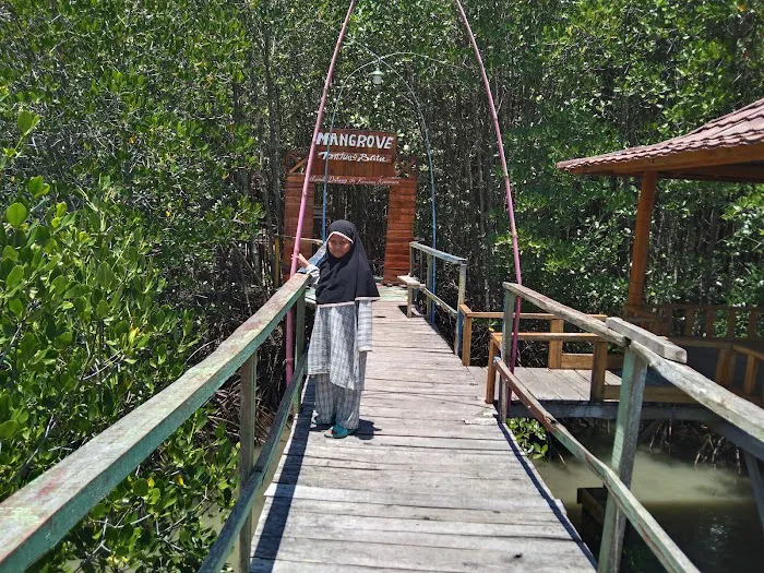 Mangrove Sekotong Tengah 7
