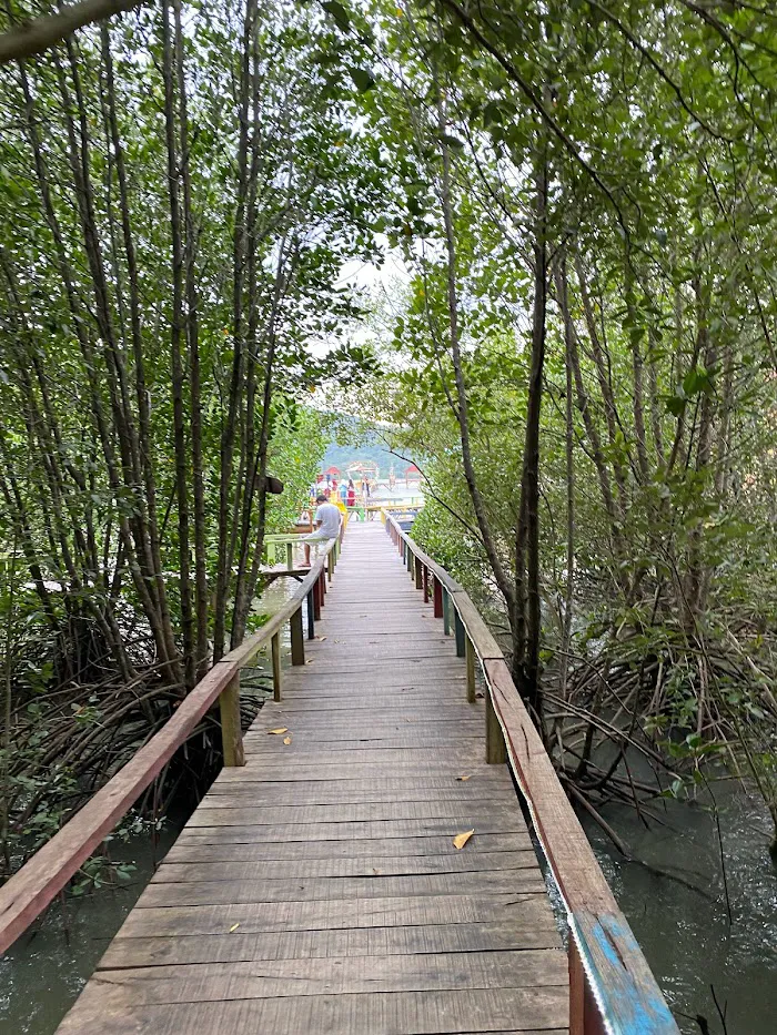 Mangrove Sekotong Tengah 4