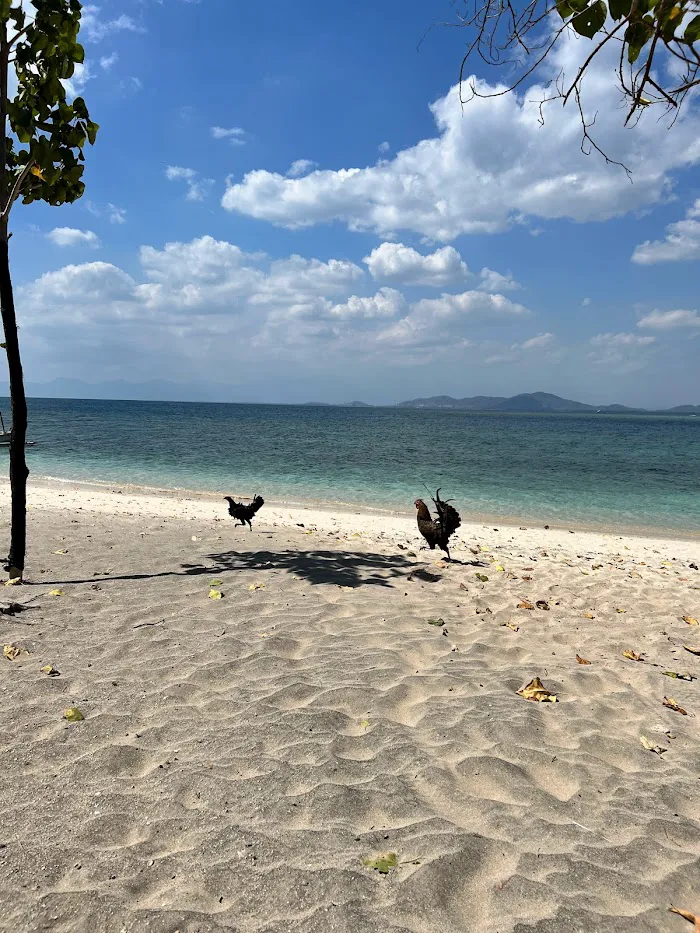 GILI TANGKONG BEACH 0