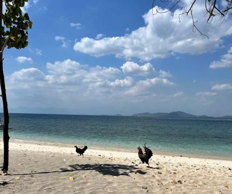 GILI TANGKONG BEACH