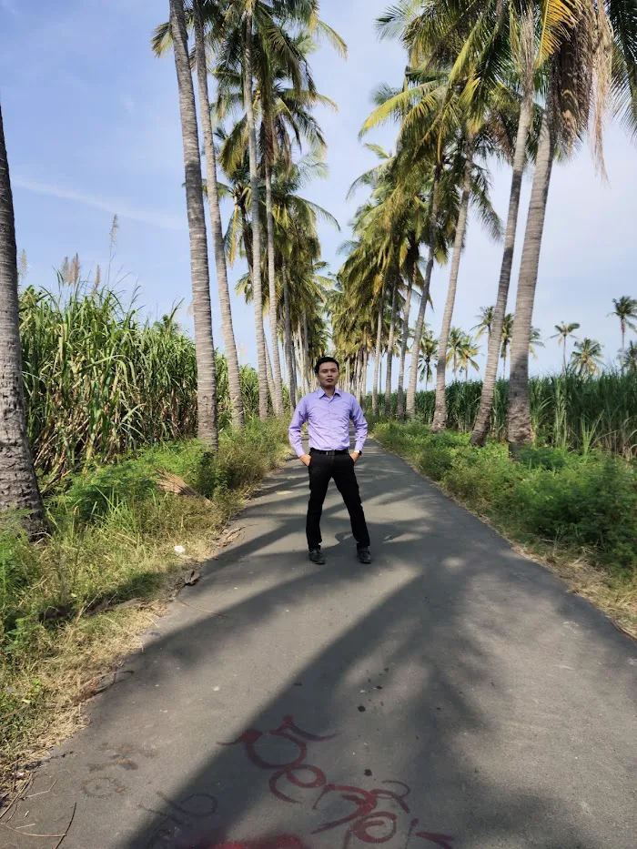 Banongan coconut tree 2