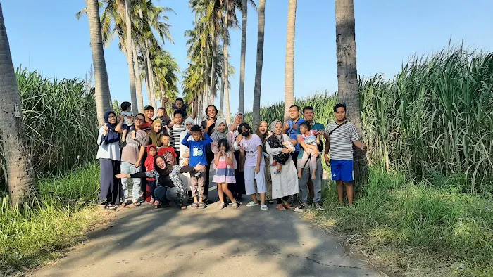 Banongan coconut tree 4