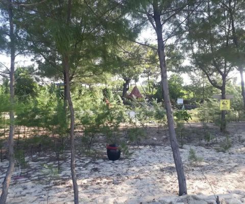 Pantai Sumur Pawon