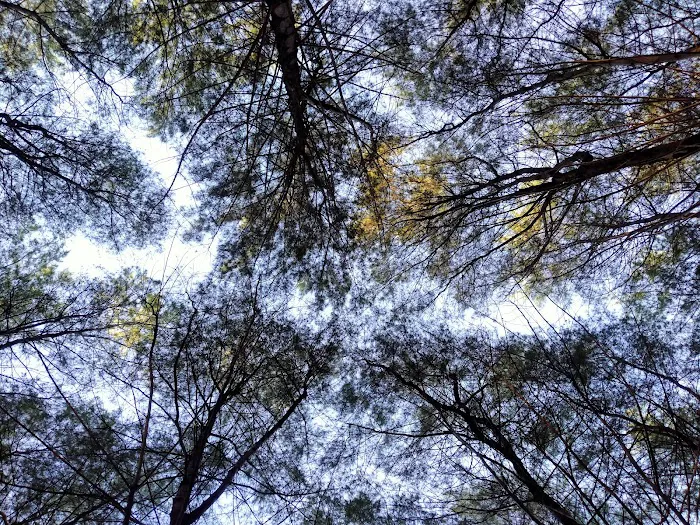 Pantai Ngudel 7