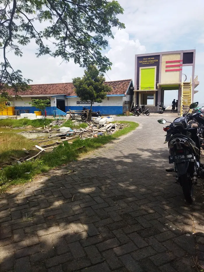 Tanjung Kemukem Putih 8