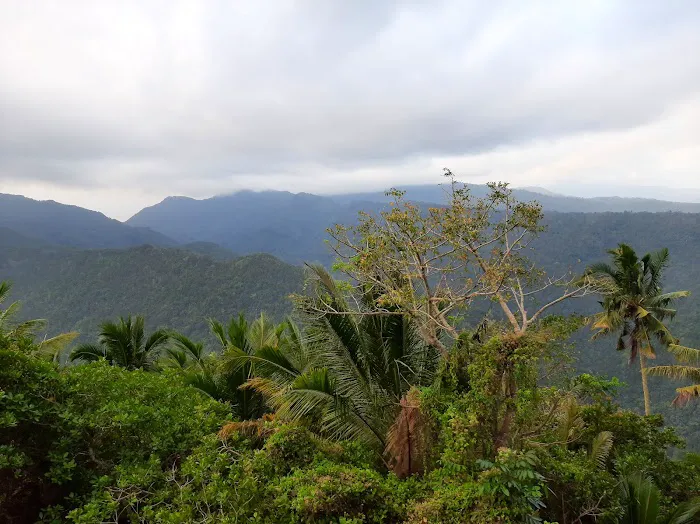 Bukit Bengkaung Lembah Sari 5
