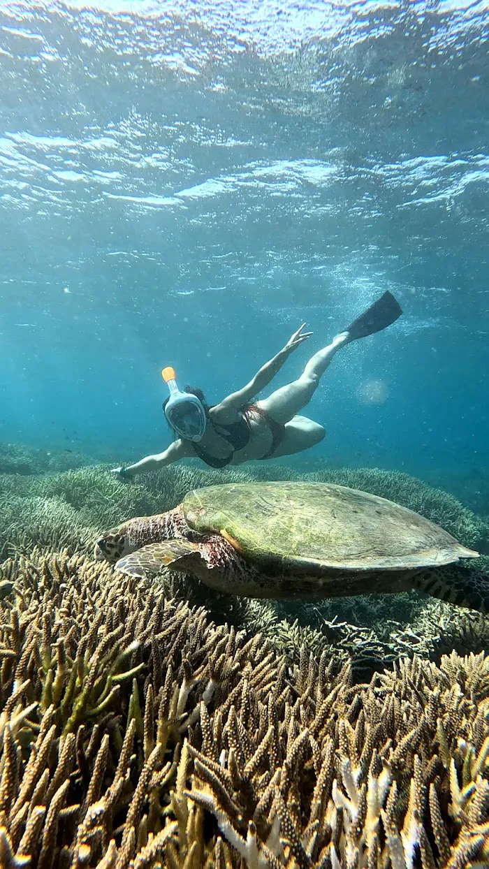 Beach and snorkeling 3