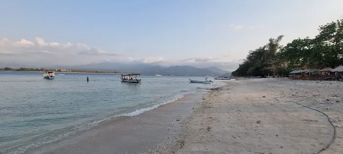 Turtle Snorkeling Area 4