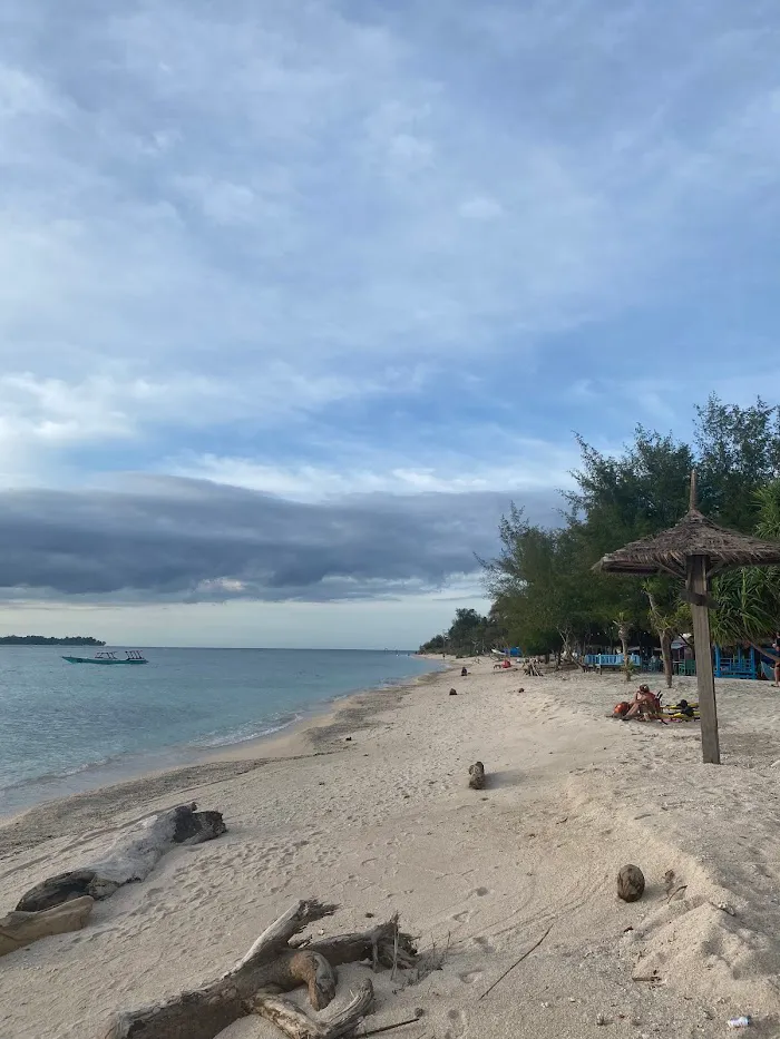 Turtle Snorkeling Area 2