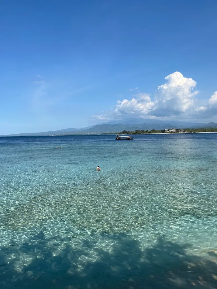 Turtle Snorkeling Area 6