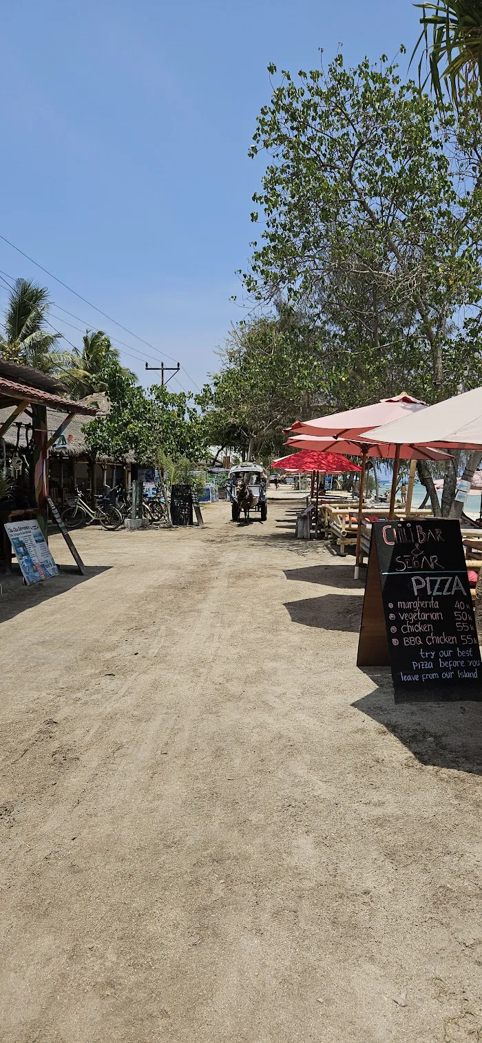 Turtle Snorkeling Area 7