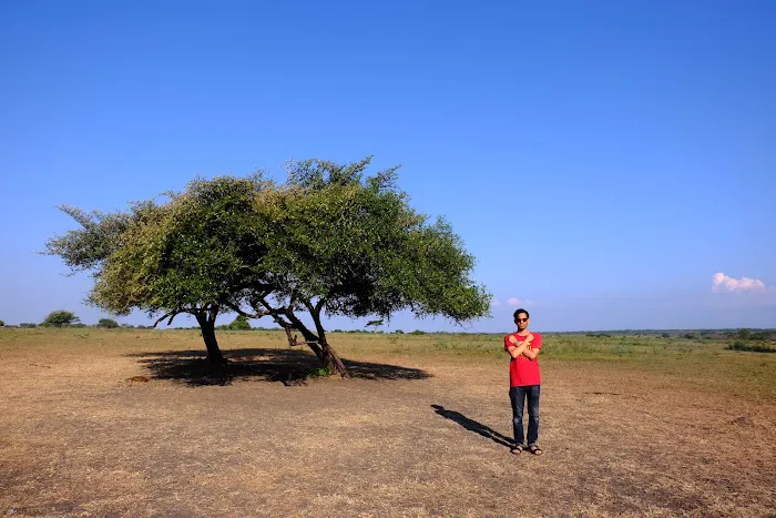 Baluran National Park 0