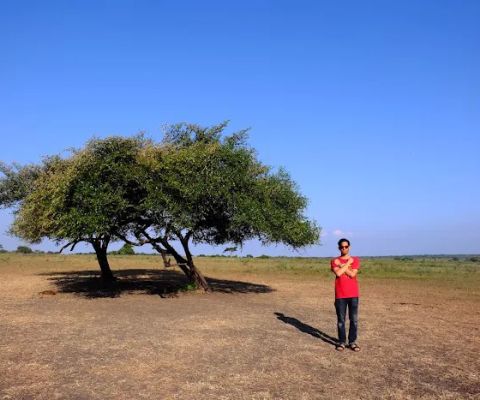 Baluran National Park