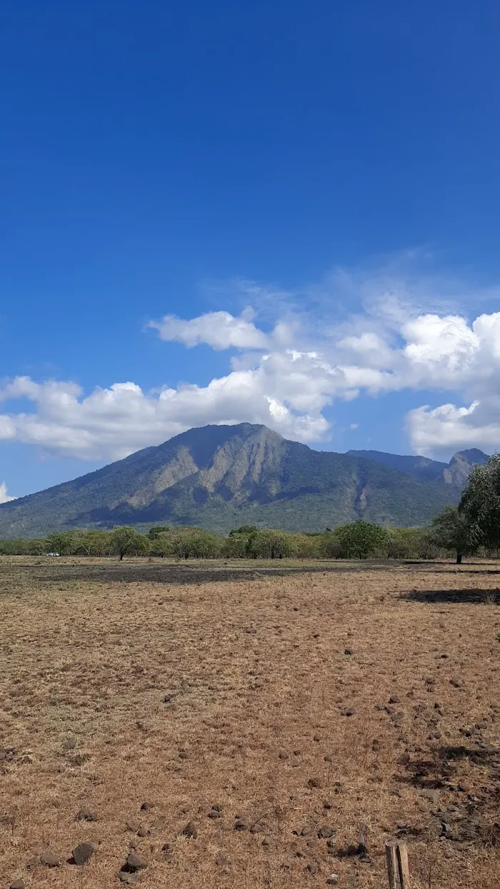 Baluran National Park 8